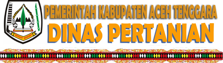 salangbaru/
